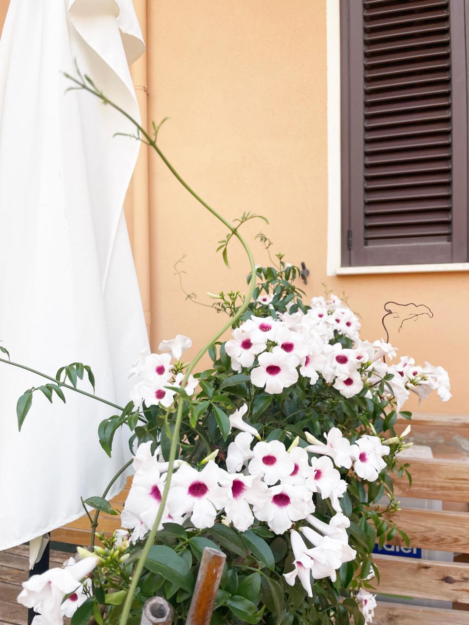 Heidi'S Apartment Alghero Exterior photo